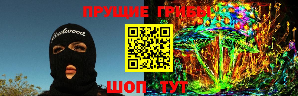где купить наркоту  Вход с VPN  Новоалександровск  Галлюциногенные грибы GOLDEN TEACHER 