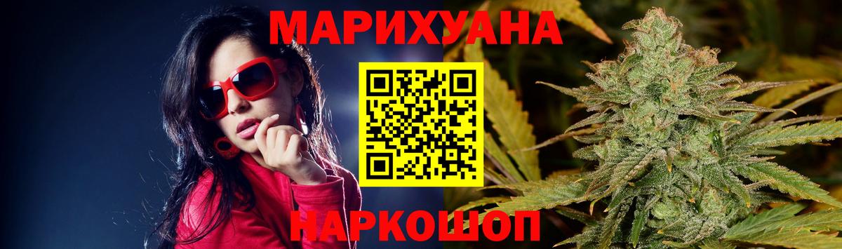 Бошки Шишки планчик Новоалександровск